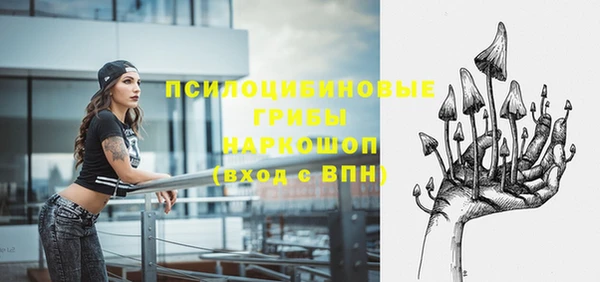 СК Аркадак
