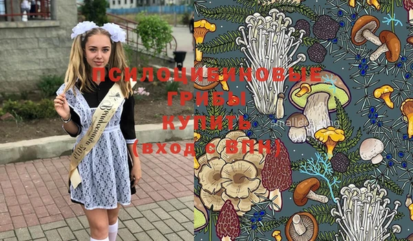 MESCALINE Баксан